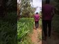 Baby†S Reaction While Going To The Farm рџ рџЊѕ Cutest Moment Ever Shorts Baby†S Reaction While Going To The Farm рџ рџЊѕ Cutest Moment Ever Shorts