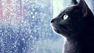 Quando chove - Patrícia Marx ( Dj Ignatius - Falling drops tribute remix)