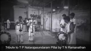 Triputa Thala Mallari - T P N Ramanathan & G Yuvaraj - N K Selvaganapathy & M S Ravikumar