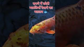 Meaning of seeing small fishes in dreams 🐟 | Dream Meaning in Hindi | Swapna Shastra #fishdream