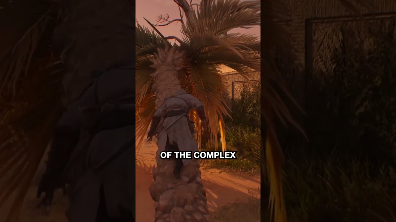 First Order Walkthrough | Assassin's Creed Mirage