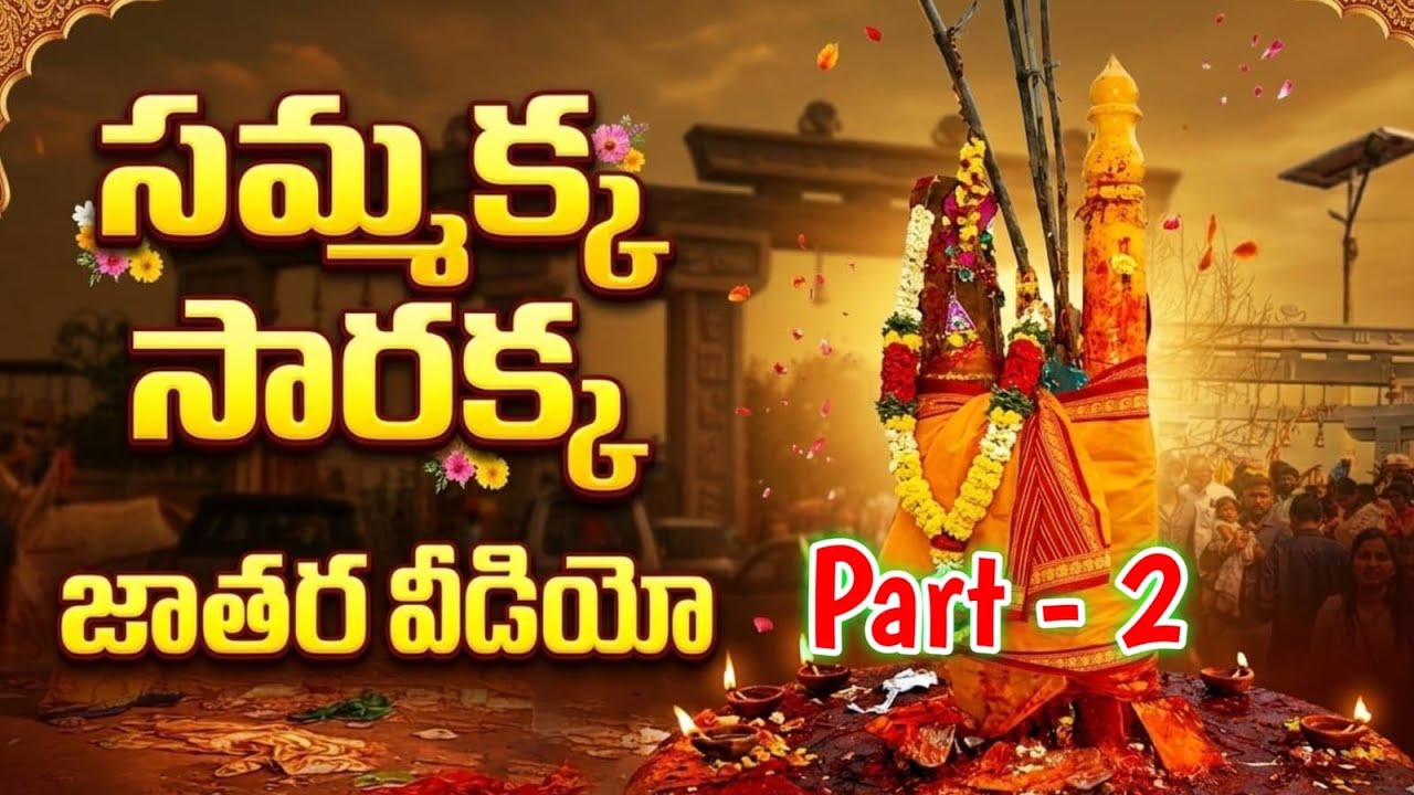 సమ్మక్క సారక్క జాతర వీడియో l historical temple in Warangal in telugu @anvithagorenkala1413 
