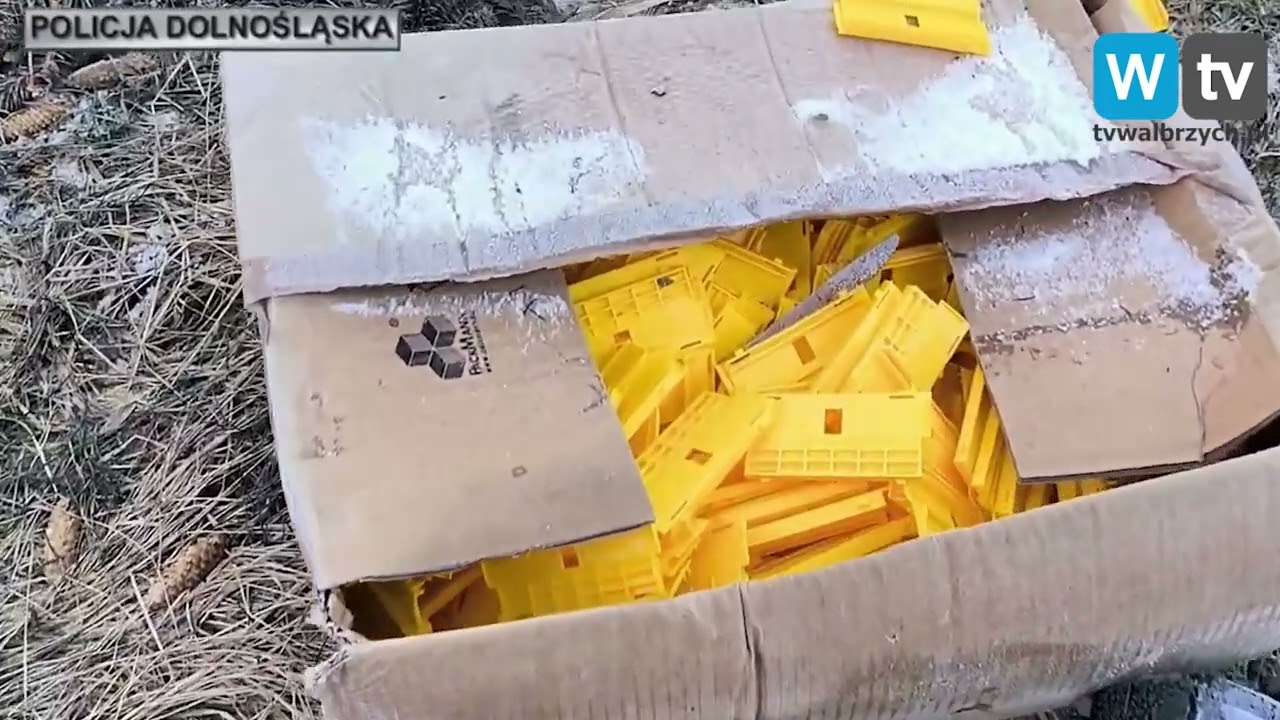 Gang złodziei samochodów rozbity - 8 zatrzymanych