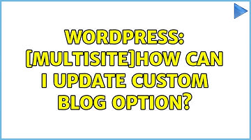 Wordpress: [Multisite]How can I update custom blog option? (2 Solutions!!)