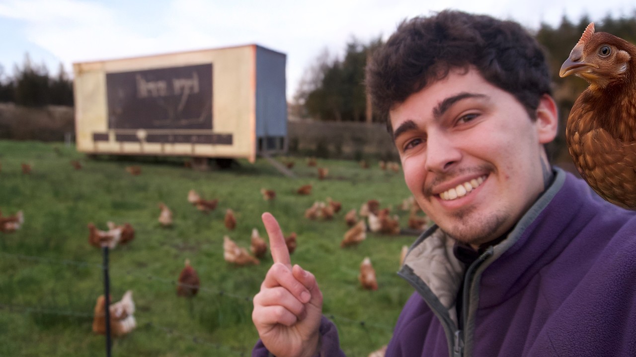 Imagina GANAR 1800€ por semana con tus GALLINAS PONEDORAS, sistema de producción de huevos