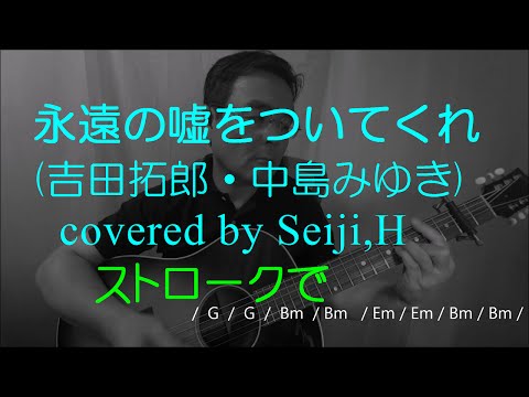 永遠の嘘をついてくれ (吉田拓郎・中島みゆき) cover  Seiji.H弾き語り
