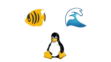 How To Configure Fish Shell Tide Prompt — Linux