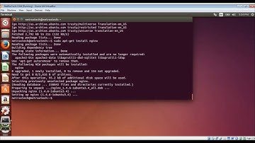 Installing NginX Http Server and Apache Web Server On Ubuntu Linux By Asim Iqbal