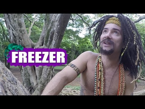 MUSTAFARY (MARCO LUQUE) -- FREEZER