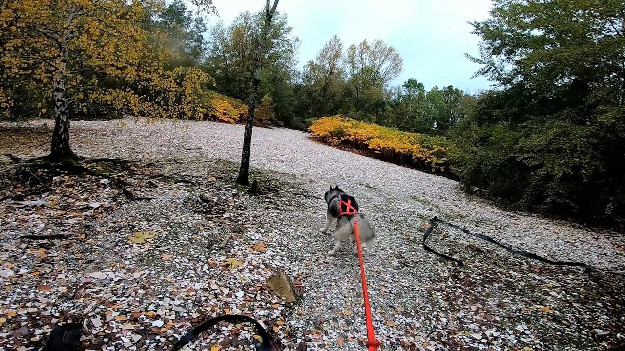 Décharge de Briare, la colline aux émaux.