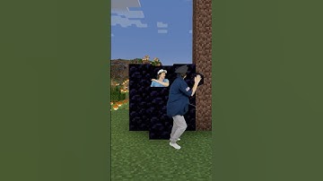 If Minecraft had police 5