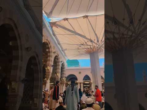 Dar Bara Ho #madina #islam #muhammad