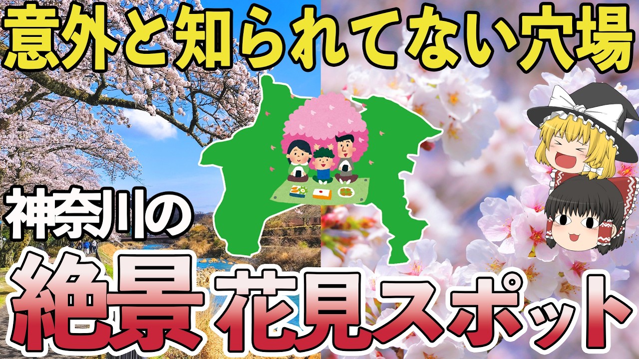 【2026年版】神奈川の穴場花見スポット7選｜地元民だけが知る花見名所【ゆっくり解説】