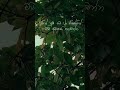 💐 #song