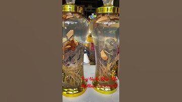 Rượu tắc kè nhà Hậu làm cho khách đây | Tackephuchau