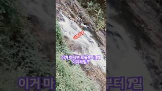 오늘부터 우리 1일!? #대박  #박지현 #트로트 #사랑 #치유 #노래 #감사 #음악 #2025년 #힐링 #삶