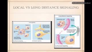 Download lagu Cell Signaling Basics Cell Signaling Basics