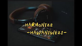 Harmonize - Hawaniwezi (Official Lyrics Video)