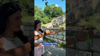 Top Aracna Tricks