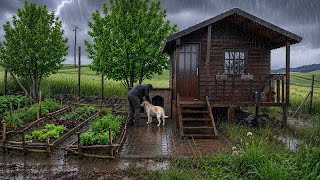 Heavy Rain, Thunderstorm & Cabin Life | Solo Cabin Living With My Dog