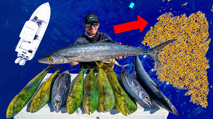Fishermen DREAM of Finding this! Catch Clean Cook (Mahi Mahi)