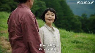 小林聡美主演ドラマ『ペンションメッツァ』　もたいまさこ・光石研ら個性派ゲストが集結