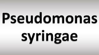 How to Pronounce Pseudomonas syringae