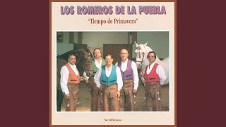 Video thumbnail of "Los Romeros De La Puebla - Que le importa a nadie"