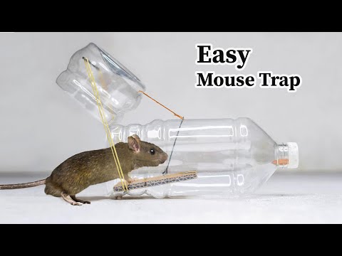Video: Hvordan Lage Et Ratt