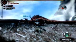 Monster Hunter Tri: Double Trouble (Part 3/3) Team FAIL