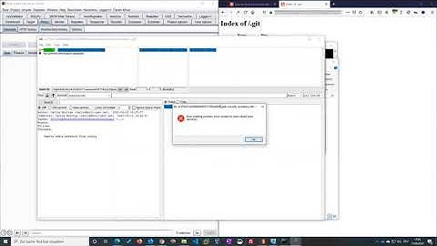 Information disclosure in version control history (Video solution)