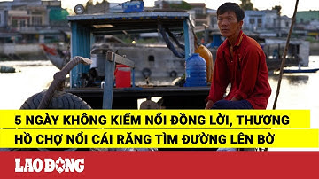 5 ngày không kiếm nổi đồng lời, thương hồ Chợ nổi Cái Răng tìm đường lên bờ | Báo Lao Động