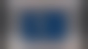 I got a Skyrim Model into Blender 3D 2.49b