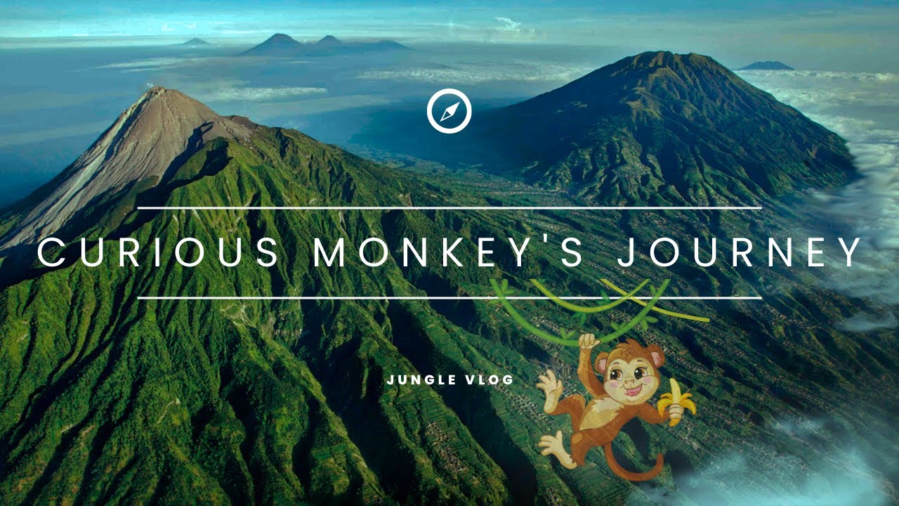Monkey Magic: Exploring the Wonders of our Primate Cousins