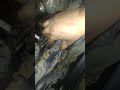 2000 ford F450 7.3 turbo diesel crank no start fix