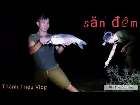 SĂN ĐÊM | Sinh Tồn Trên Đảo Hoang - Tập 4 | SĂN ĐÊM MÙA DỊCH