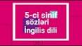 Видео по запросу "riyaziyyat 5 ci sinif metodik vesait"