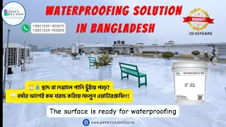 Waterproofing Solution in Bangladesh | Roof, Wall & Basement Protection by Perfect Solution