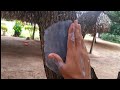 como hacer un molde de silicona de corteza de arbol