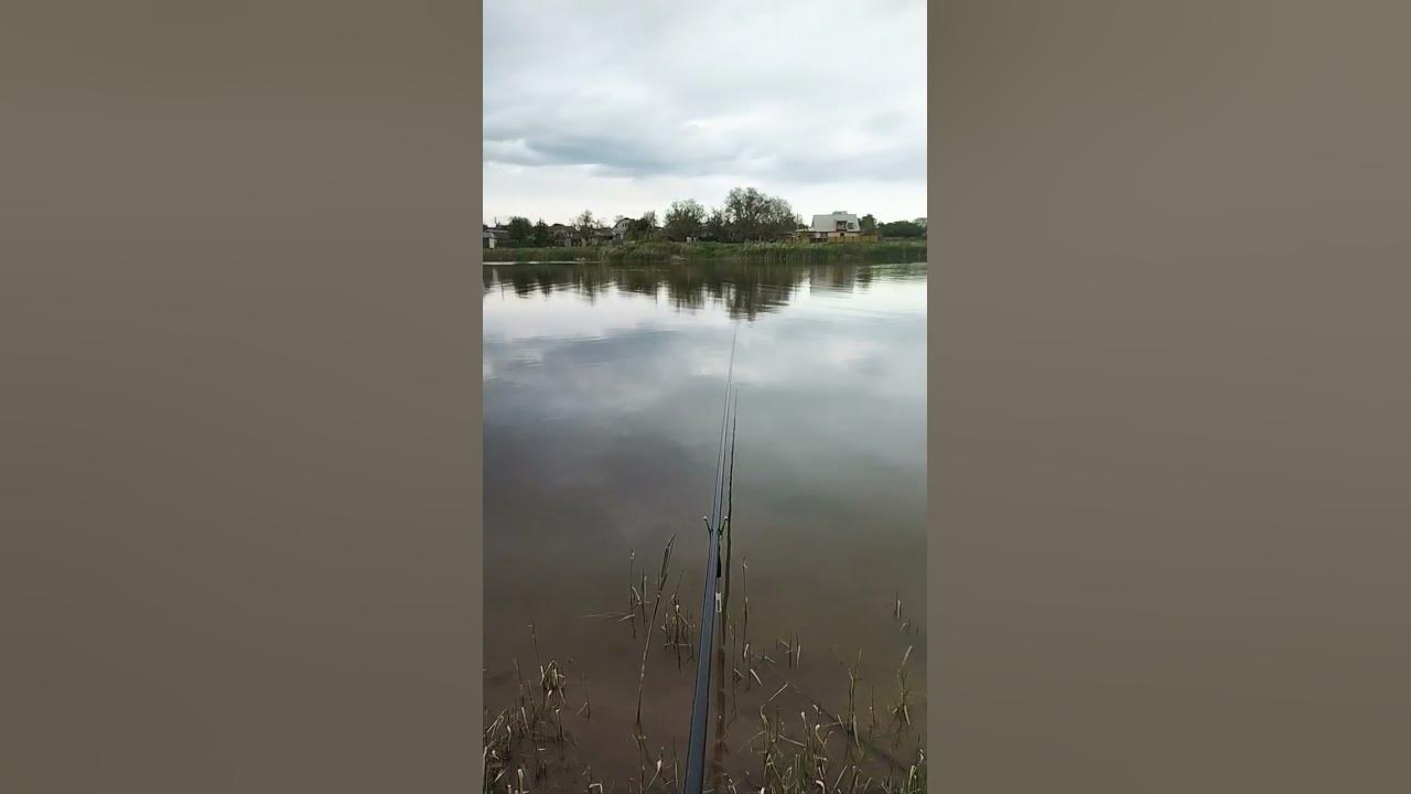 Идеальная погода для рыбалки на поплавок #рыбалка #fishing #карась # ...