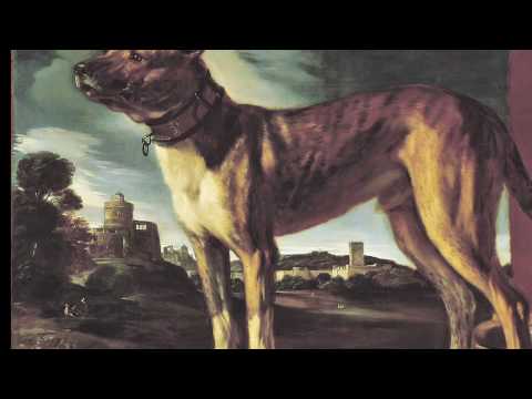 Guercino, Aldrovandi Dog, discussed by Margaret Ia...