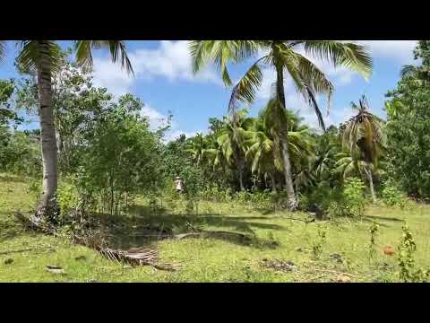 NASA FARM SI INDAY COMMUNAL LILOY #youtube #nature #trend #travel #trend #nature #farming