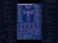 female reproductive system #hyperlipidemia #automobile #cricket