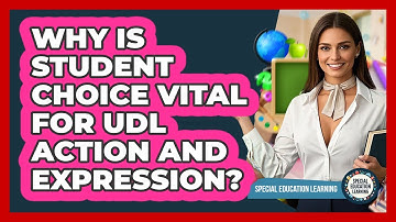 Why Is Student Choice Vital For UDL Action And Expression? - Special Education Learning