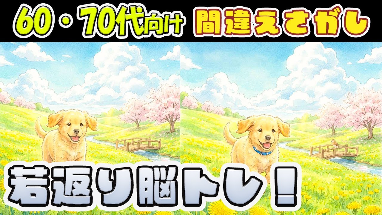 【脳トレ間違い探しVol.24】全問わかれば脳年齢20代？集中力を鍛える脳トレ【脳の老化防止】
