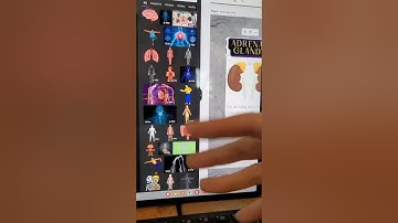 How To Create and Print Your Own Tarot & Oracle Decks