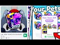 opening a gift from the new year event in pet simulator x - abri o gift do pet simulator x #roblox