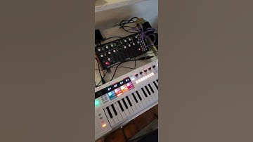 DFAM & Keystep Pro Quickie Midi MAFD #DFAM #keysteppro #mafia