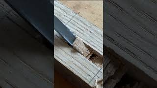 Cutting a Mortise with a Chisel, quick and satisfying