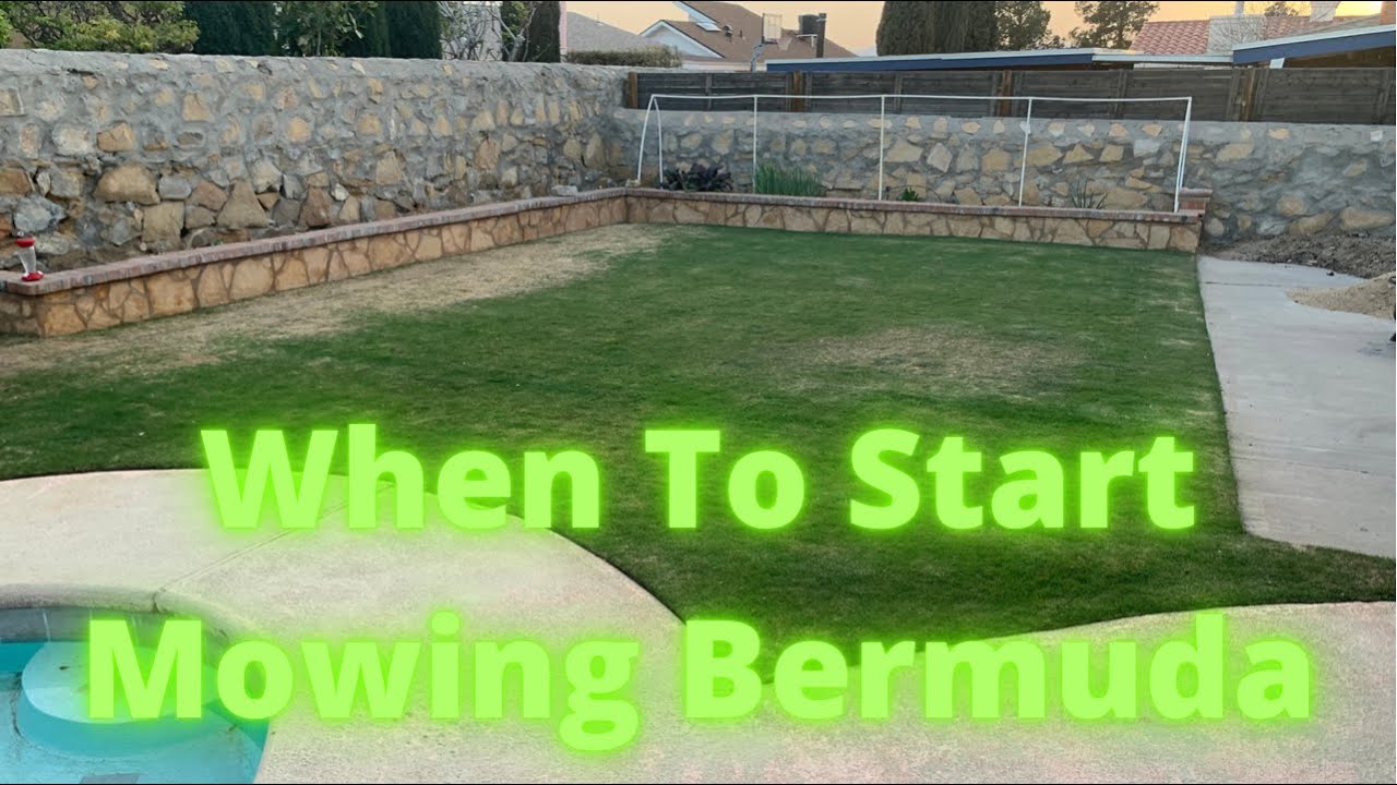 When To Mow Bermuda Grass Lawn Care 2021 YouTube when-to-mow-bermuda-grass-lawn-care-2021-youtube